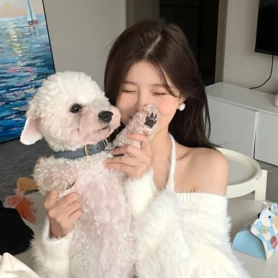 忍者之家封面
